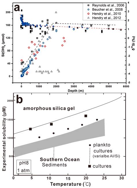 geochemistry of silicon isotopes.